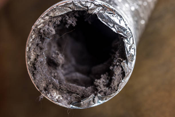 Best Air Duct Cleaning Near Me  in Minnetrista, MN