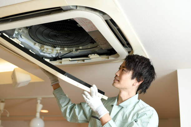 Best HVAC Duct Inspection Services  in Minnetrista, MN