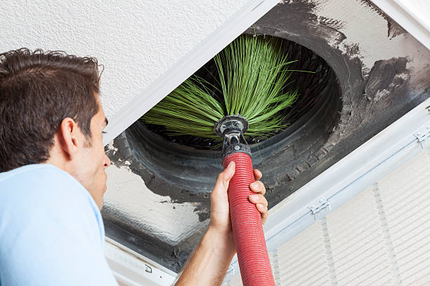 Best Professional Duct Cleaning Services  in Minnetrista, MN